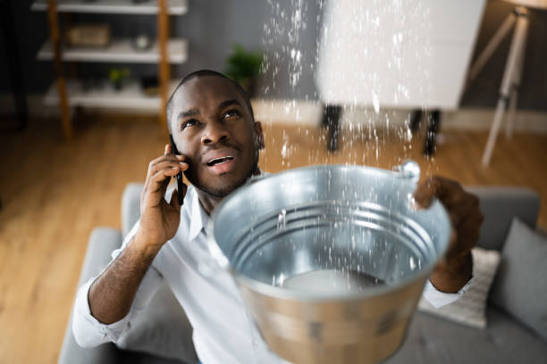 Best Water damage cleanup near me  in Fort Pierce North, FL