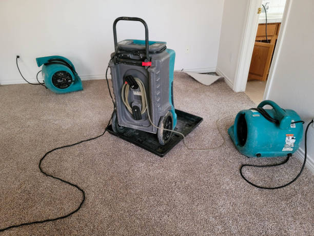 Best Residential water damage restoration  in Fort Pierce North, FL