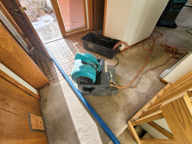 Best Carpet water damage restoration  in Fort Pierce North, FL