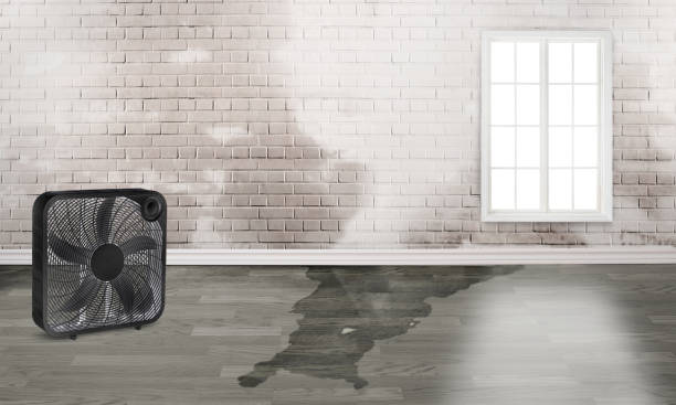 Best 24-hour water damage restoration  in Fort Pierce North, FL