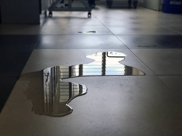 Best 24/7 water damage repair  in Fort Pierce North, FL