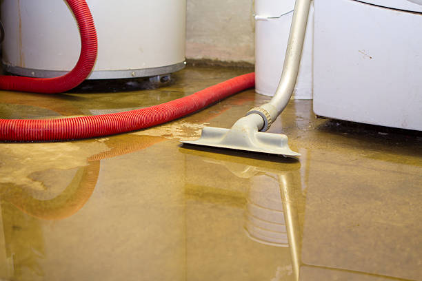 Best Local water damage restoration  in Fort Pierce North, FL