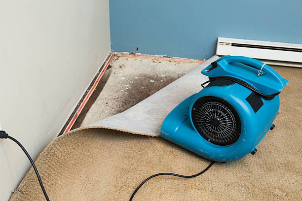 Best Water damage cleanup near me  in Fort Pierce North, FL